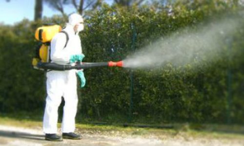 disinfestazione