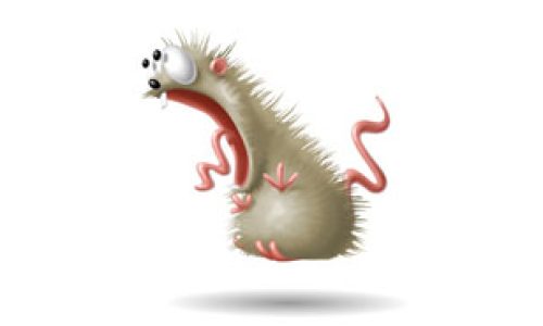 Disinfestazioni Derattizzazioni Roma